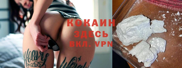 твердый Бородино