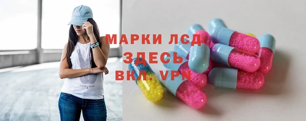 твердый Бородино