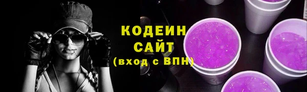 твердый Бородино