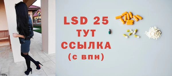 твердый Бородино