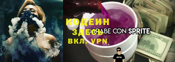твердый Бородино