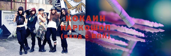 твердый Бородино