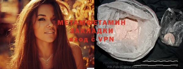твердый Бородино